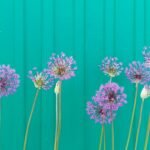 Freedom of Information in the news – week ending 2/1/2026 – #FOIFriday