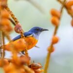 Freedom of Information in the news – week ending 27/3/2026 – #FOIFriday