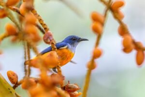 Read more about the article Freedom of Information in the news – week ending 27/3/2026 – #FOIFriday