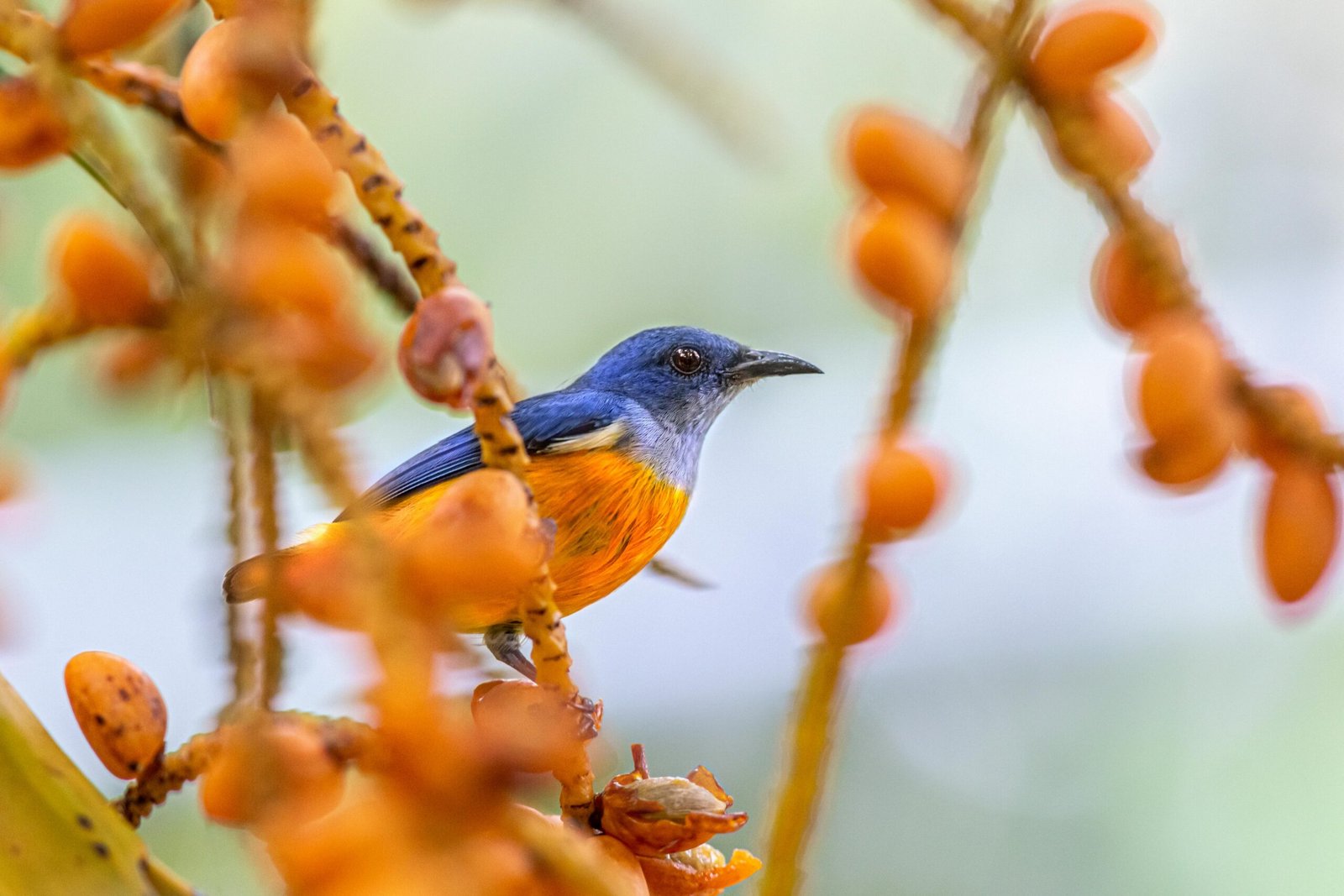 You are currently viewing Freedom of Information in the news – week ending 27/3/2026 – #FOIFriday