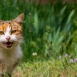 Freedom of Information in the news – week ending 20/3/2026 – #FOIFriday