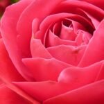 Freedom of Information in the news – week ending 24/4/2026 – #FOIFriday