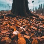 Freedom of Information in the news – week ending 12/6/2026 – #FOIFriday
