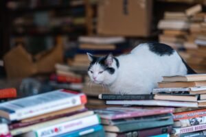 Read more about the article Freedom of Information in the news – week ending 21/8/2026 – #FOIFriday
